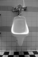 man sued Arby's for injuries at urinal